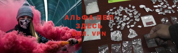spice Алзамай