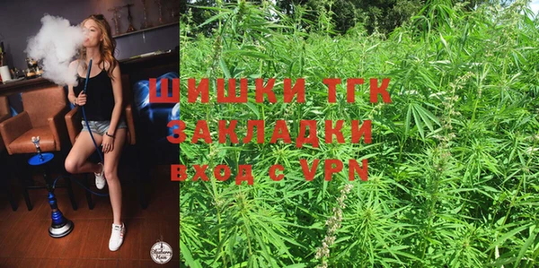 ГАЛЛЮЦИНОГЕННЫЕ ГРИБЫ Алексин