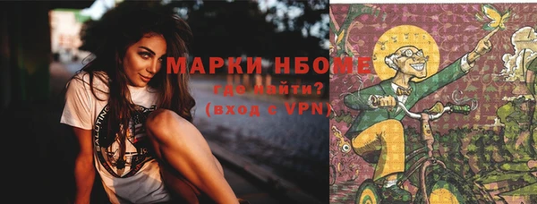 ГАЛЛЮЦИНОГЕННЫЕ ГРИБЫ Алексин