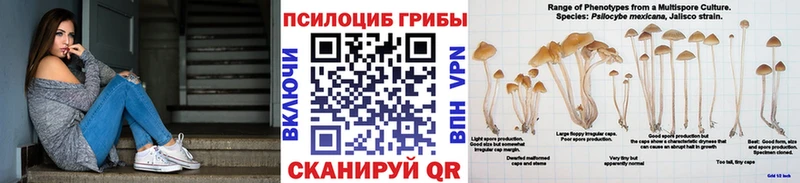 купить   Бакал  Псилоцибиновые грибы ЛСД 