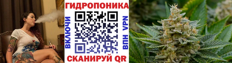 Марихуана план  Бакал 